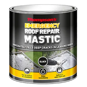 Thompson Emergency Roof Repair 750ml